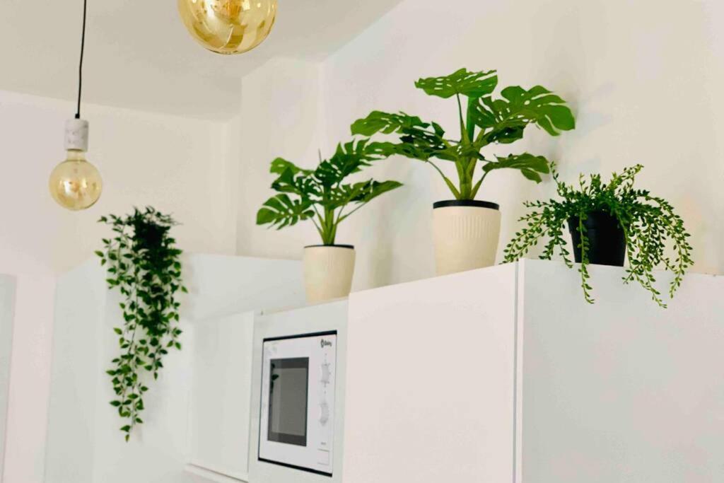 Roof Top Luxury City Center Apartment By Namaste Elite توريمولينوس المظهر الخارجي الصورة